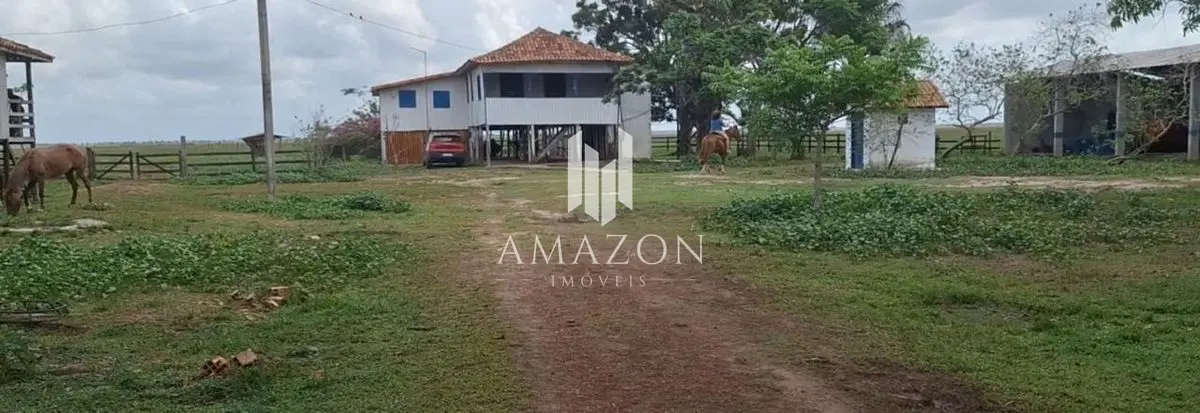 Venda, Fazenda Triunfo, Cachoeira do Arari, Marajó-PA - foto 3